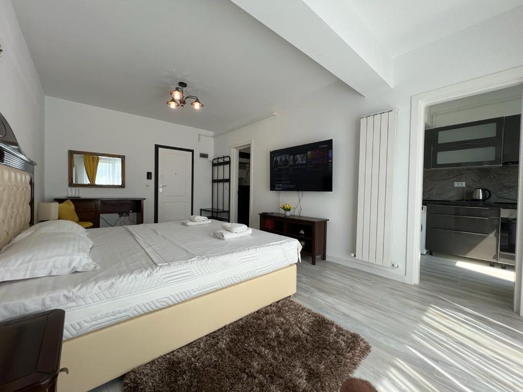 Urban Apartments And Studios - City Center Iasi Eksteriør billede