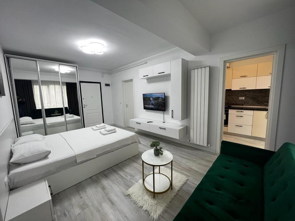 Urban Apartments And Studios - City Center Iasi Eksteriør billede