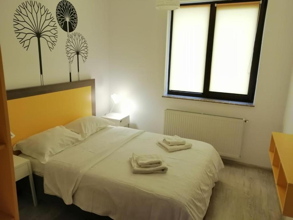 Urban Apartments And Studios - City Center Iasi Værelse billede